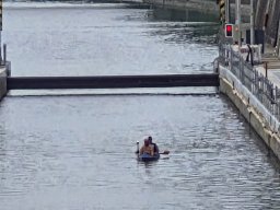 Mainschwimmen Juni 2026